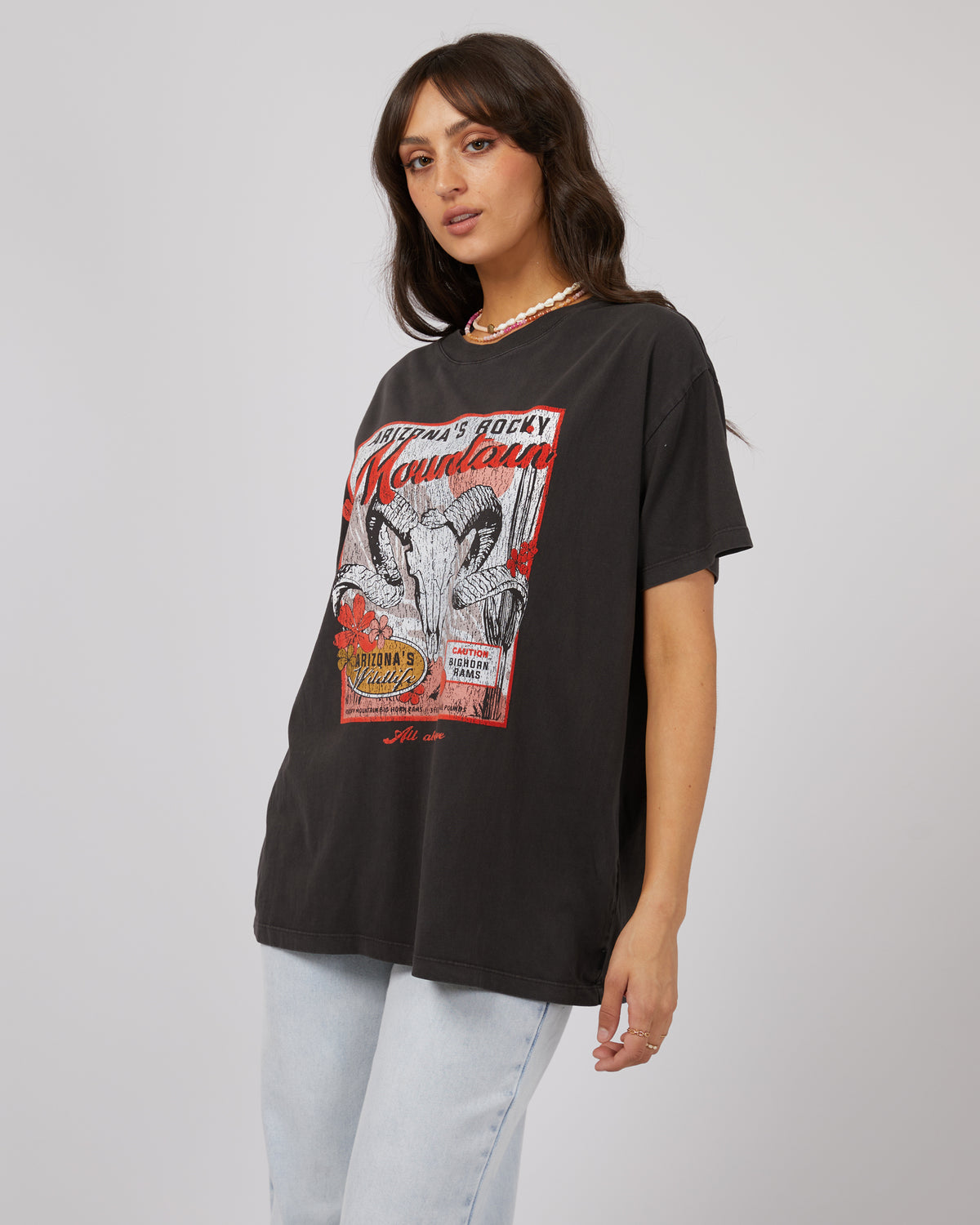 Rocky Mountain Standard Tee Washed Black