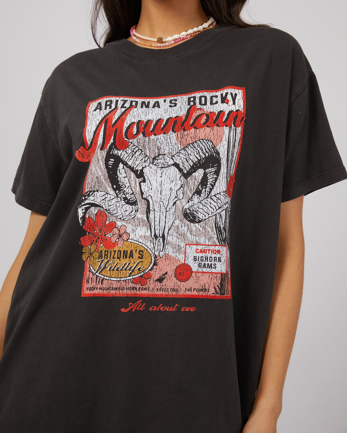 Rocky Mountain Standard Tee Washed Black